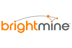 Brightmine Logo