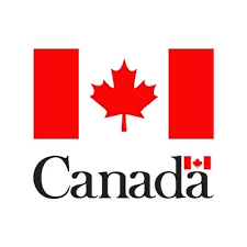 Canadian Institutes of Health Research Logo