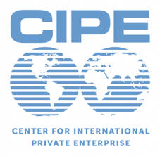 Centre for International Political Economy (CIPE) Logo