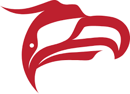 Animikii Indigenous Technology Logo