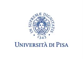 University of Pisa DSU Scholarship to Study in Italy 2025