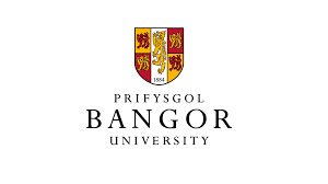 2026 Bangor University Vice-Chancellor Scholarship