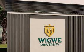 Wigwe university Merit-Based Scholarship 2025
