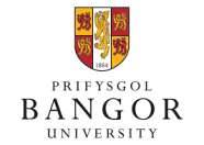 Bangor Merit and Entrance Scholarships