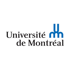 University of Montreal IVADO Postdoctoral Fellowship Program 2026